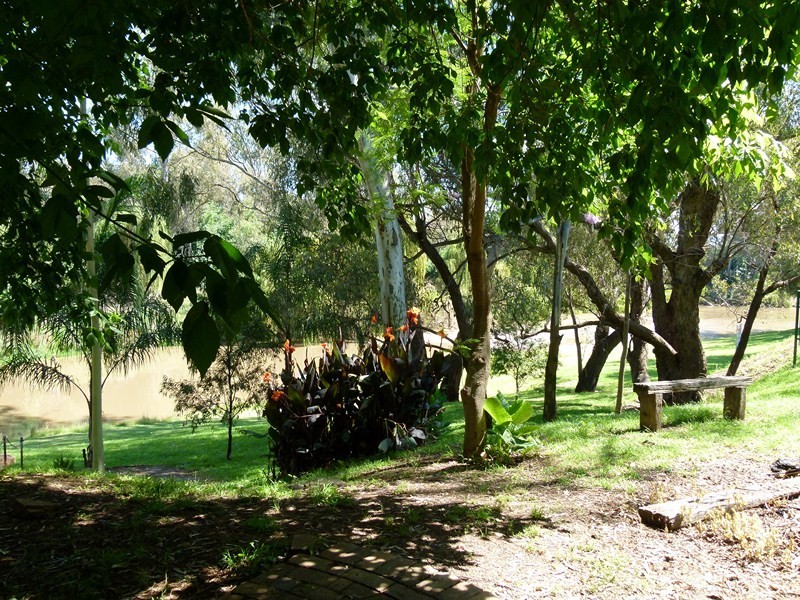 86 Reymond, Forbes NSW 2871