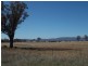 Spring View Attenborough Road, Peak Hill NSW 2869