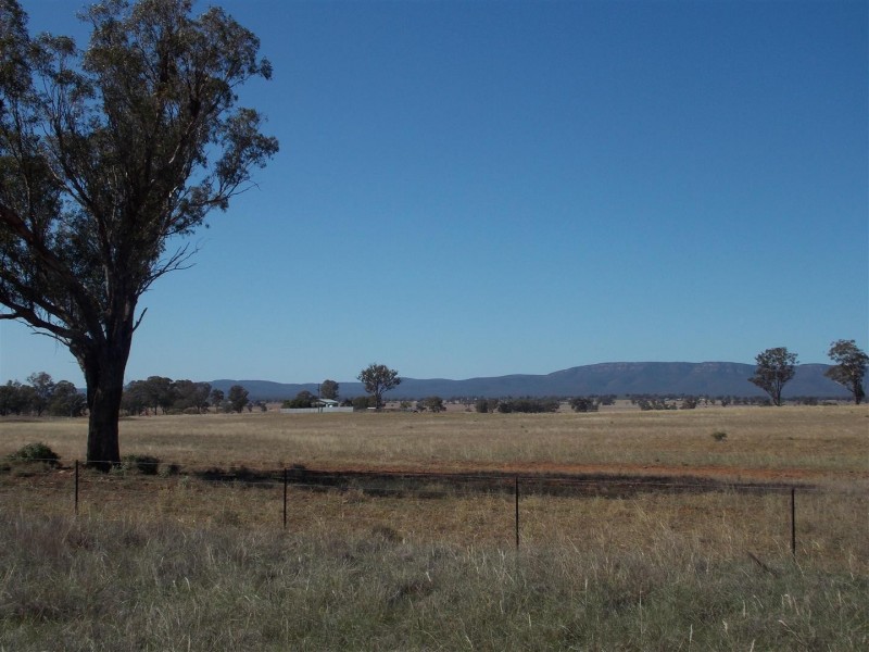Spring View Attenborough Road, Peak Hill NSW 2869