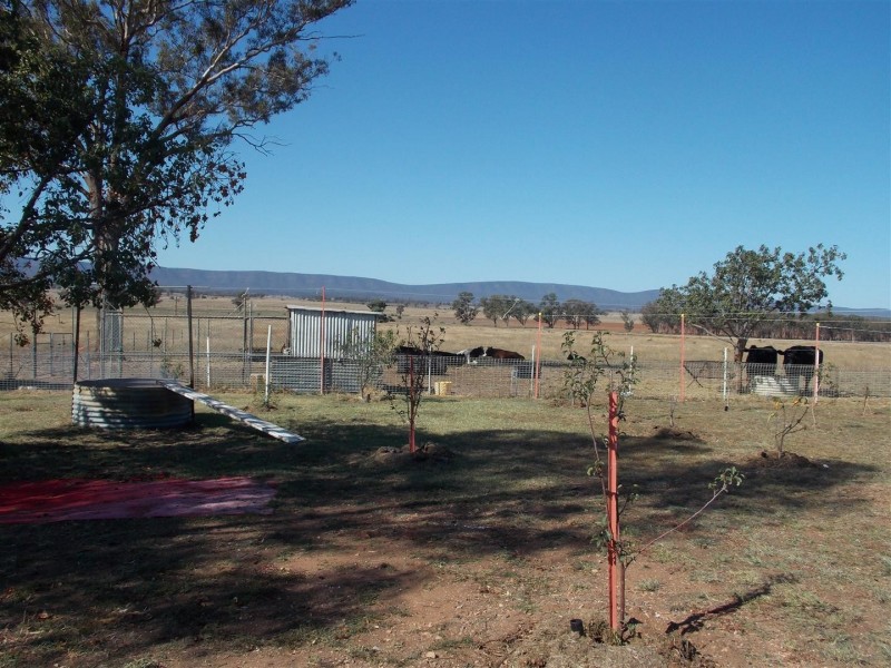 Spring View Attenborough Road, Peak Hill NSW 2869