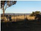 Spring View Attenborough Road, Peak Hill NSW 2869