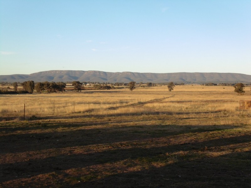 Spring View Attenborough Road, Peak Hill NSW 2869
