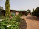 31 Farrand Street, Forbes NSW 2871