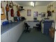 79 Rankin Street, Forbes NSW 2871