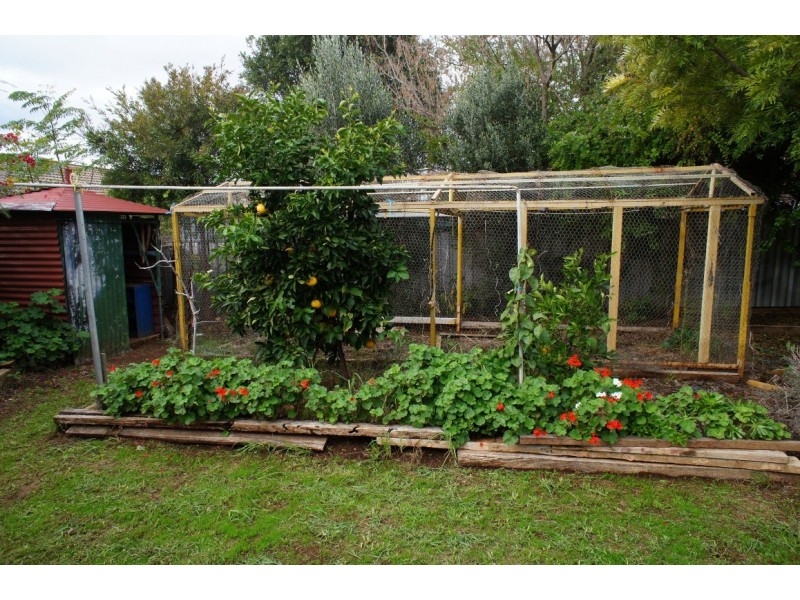 9 Adams Ave, Condobolin NSW 2877