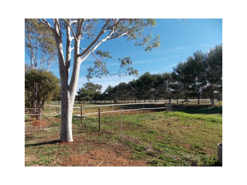 97 Back Yamma Road, Parkes NSW 2870