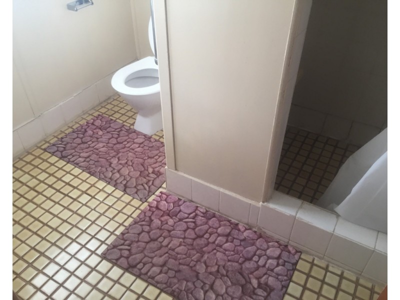 1/82-84 Derribong Street, Peak Hill NSW 2869