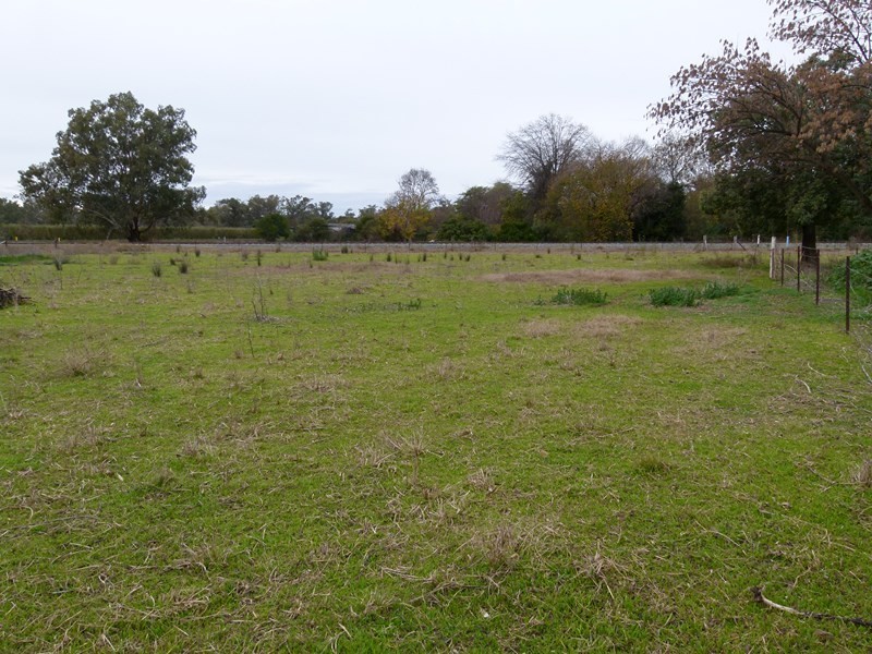 11 Wandary lane, Forbes NSW 2871