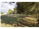 Lots 1,2,3 Evelyn street, Eugowra NSW 2806