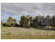 Lots 1,2,3 Evelyn street, Eugowra NSW 2806