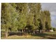 Lots 1,2,3 Evelyn street, Eugowra NSW 2806