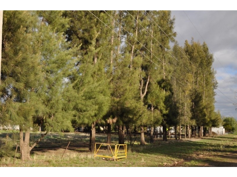 Lots 1,2,3 Evelyn street, Eugowra NSW 2806