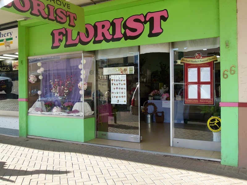 66 Rankin Street, Forbes NSW 2871