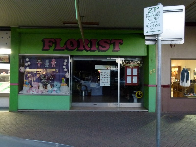 66 Rankin Street, Forbes NSW 2871