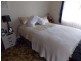 66 Mitchell Street, Parkes NSW 2870