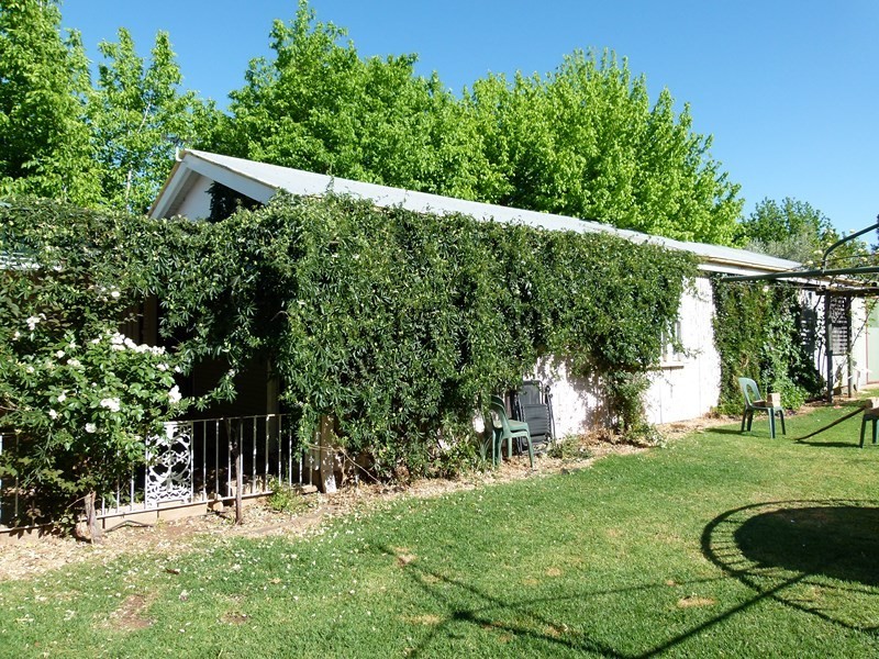 21 Thomson Street, Forbes NSW 2871