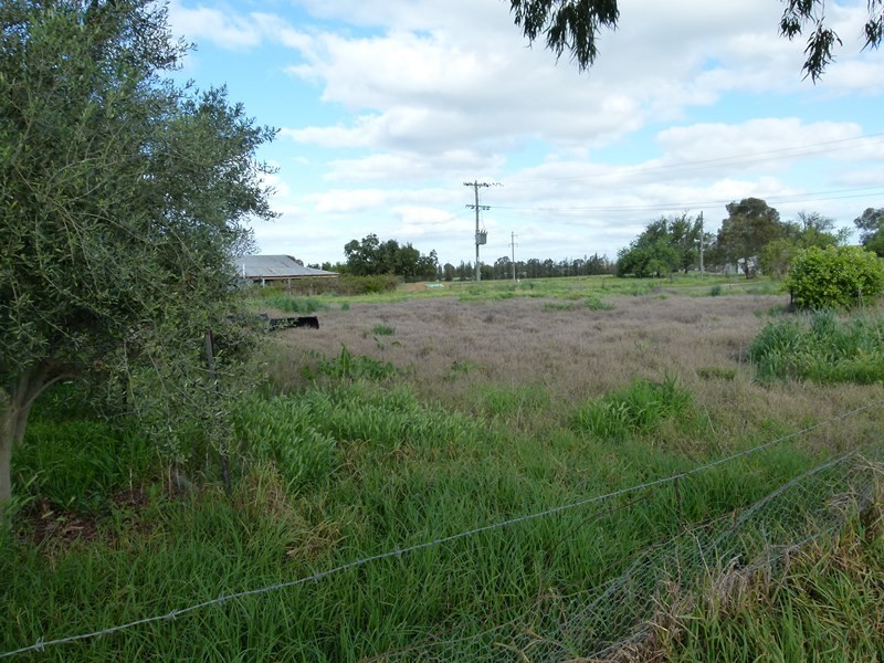 16 Ferry Street, Forbes NSW 2871