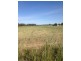 Lot 10 Moulder St, Condobolin NSW 2877