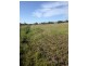 Lot 10 Moulder St, Condobolin NSW 2877