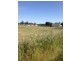 Lot 10 Moulder St, Condobolin NSW 2877