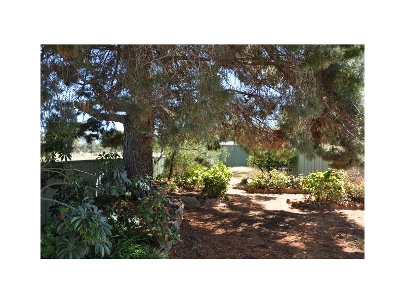 . “Throndale” Escort Way, Eugowra NSW 2806