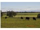 . “Throndale” Escort Way, Eugowra NSW 2806