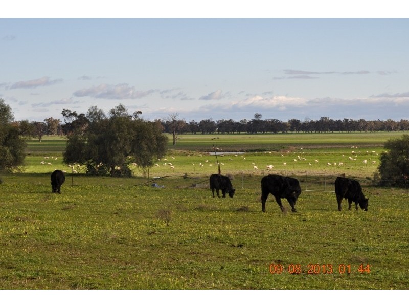 . “Throndale” Escort Way, Eugowra NSW 2806