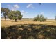 . “Throndale” Escort Way, Eugowra NSW 2806