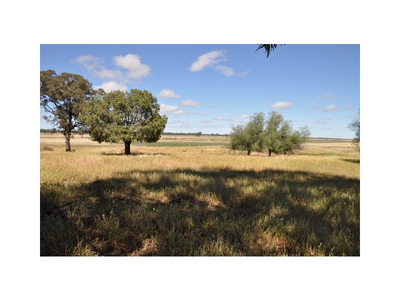 . “Throndale” Escort Way, Eugowra NSW 2806