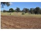 . “Throndale” Escort Way, Eugowra NSW 2806