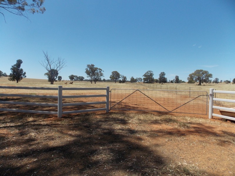 Lot 1 Condobolin Road, Parkes NSW 2870