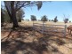 Lot 1 Condobolin Road, Parkes NSW 2870