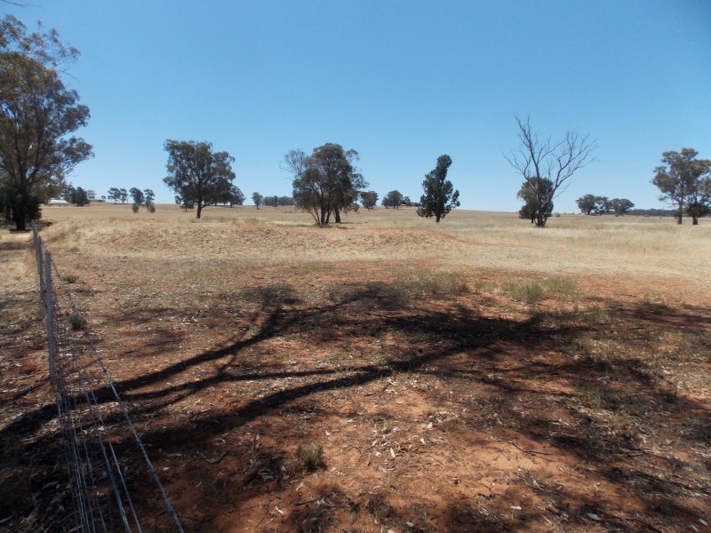 Lot 1 Condobolin Road, Parkes NSW 2870