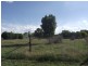 Lot 7 Brookview Street, Trundle NSW 2875