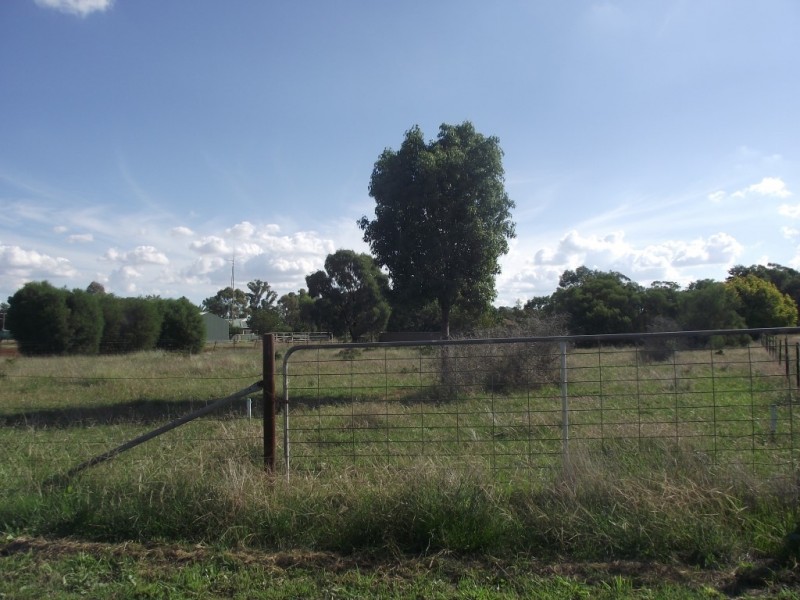 Lot 7 Brookview Street, Trundle NSW 2875