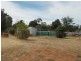 43 Lachlan Street, Bogan Gate NSW 2876