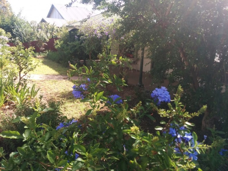 3 L’estrange St, Condobolin NSW 2877