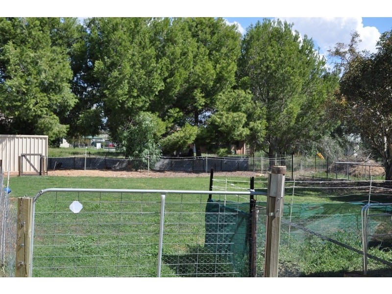 42 Pye Street, Eugowra NSW 2806