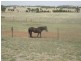 140 Cons Lane, Parkes NSW 2870