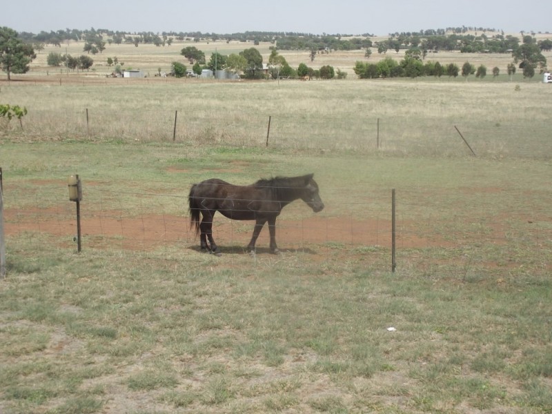 140 Cons Lane, Parkes NSW 2870