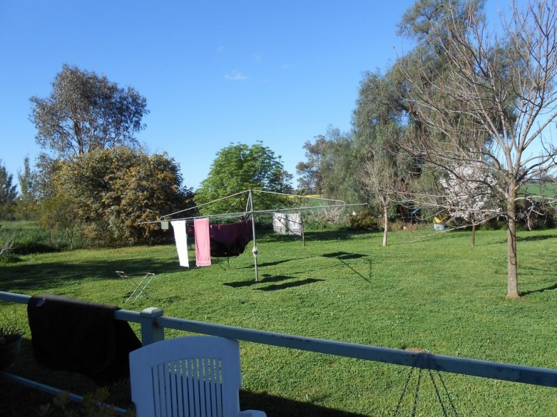 ‘Alchin’ Turners Rd, Forbes NSW 2871