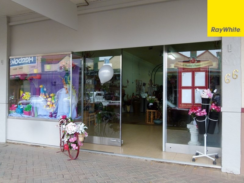 66 Rankin Street, Forbes NSW 2871