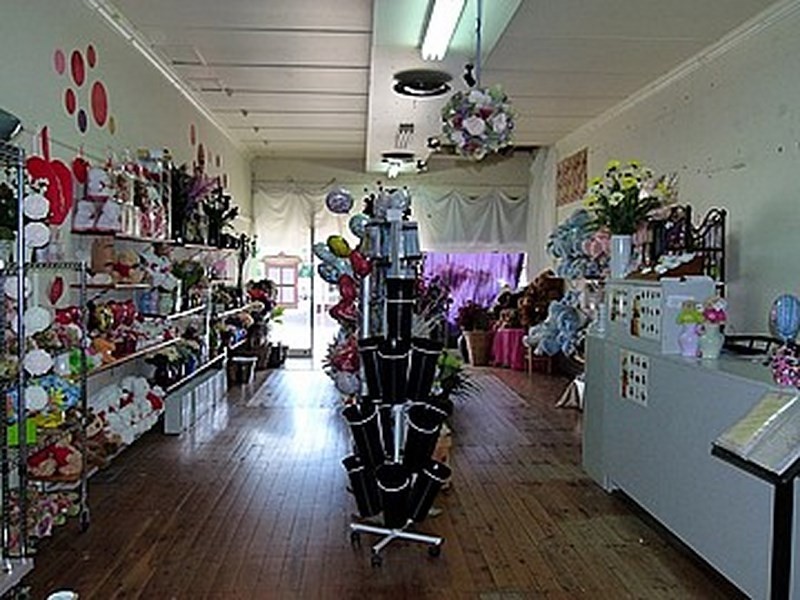 66 Rankin Street, Forbes NSW 2871