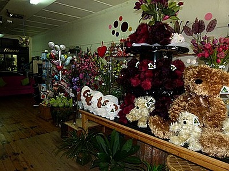 66 Rankin Street, Forbes NSW 2871