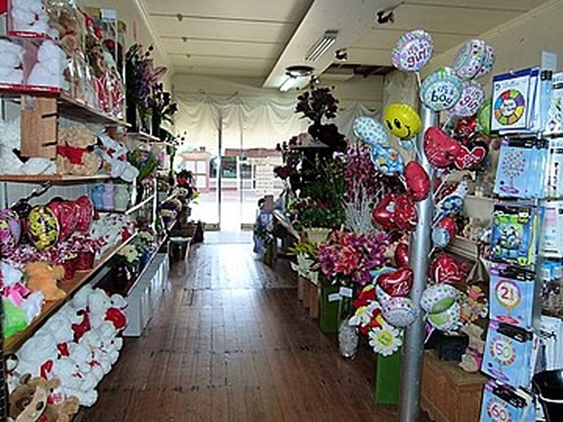 66 Rankin Street, Forbes NSW 2871