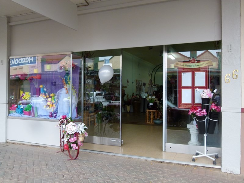 66 Rankin Street, Forbes NSW 2871