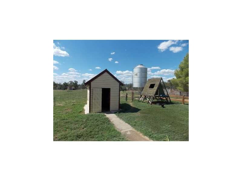 Burrill Banks 37 Kentucky Lane, Alectown NSW 2870
