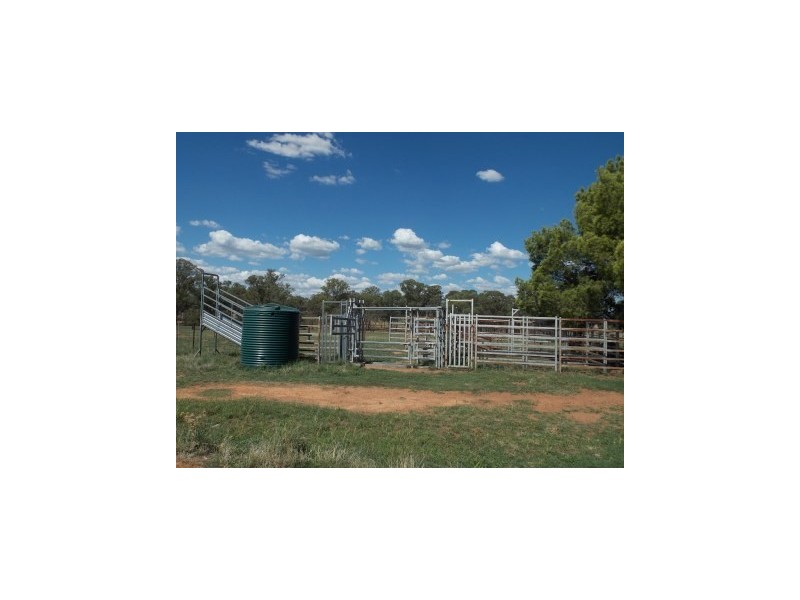Burrill Banks 37 Kentucky Lane, Alectown NSW 2870