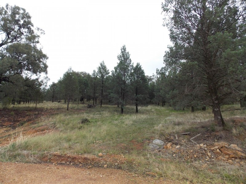 130 Heraghty Road, Parkes NSW 2870