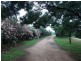 “Wind Rush” 92-96 Peak Hill Road, Parkes NSW 2870